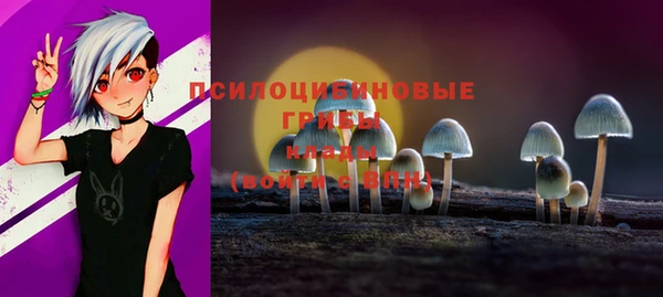 хмурый Горно-Алтайск