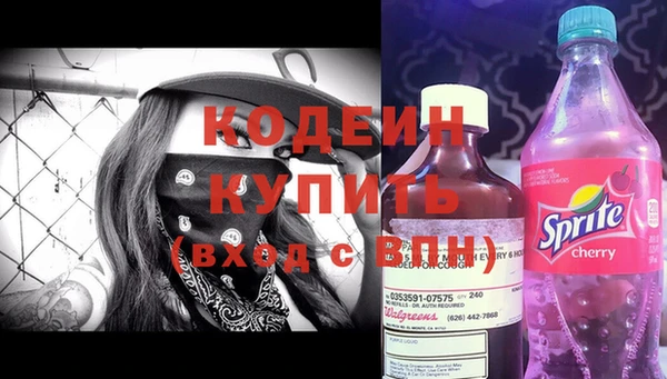 хмурый Горно-Алтайск