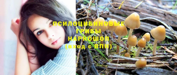 хмурый Горно-Алтайск