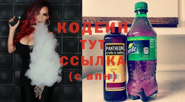 хмурый Горно-Алтайск
